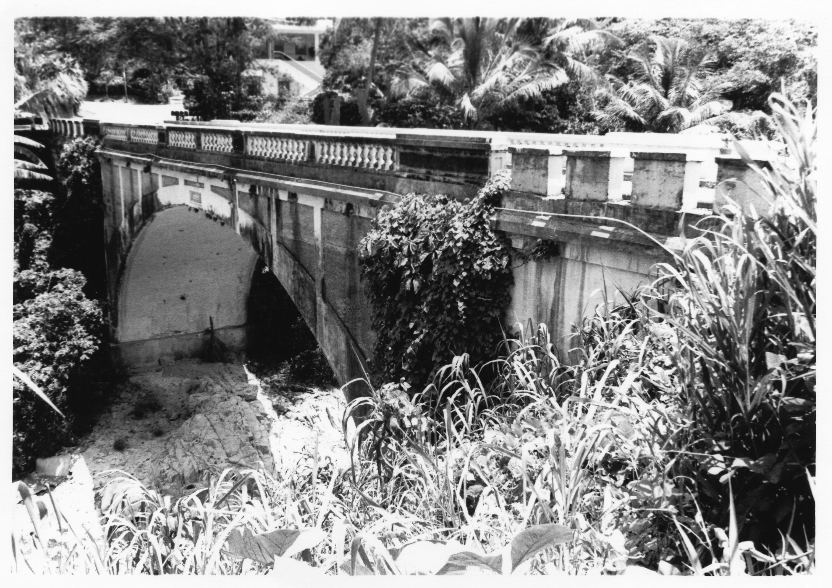 Puente Blanco - 95000837